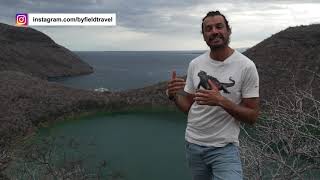 ¡Nadando con tiburones en Galapagos  Byfieldtravel [upl. by Aivul]