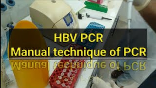 HBV PCR test PCR test Manually [upl. by Nochur]