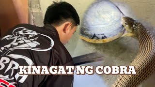 TRESPASSING NA COBRA NANGAGAT PA cobraprince [upl. by Sucramd]