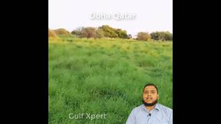 doha qatar  gulf xpert news gulfxpert qatarnews foryou greenqatar [upl. by Schulze64]