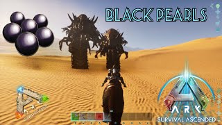 How to get black pearls on scorched earth in ark survival ascended ark dinosaurs survival [upl. by Buckden]