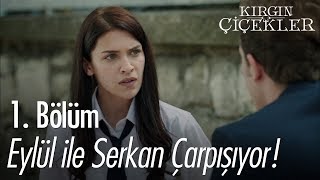 Eylül ile Serkan çarpışıyor  Kırgın Çiçekler 1 Bölüm [upl. by Camroc320]