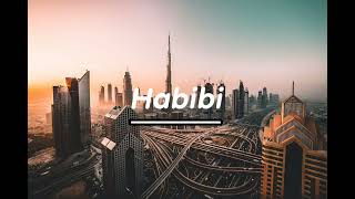 Habibi song lofi version by rhythm lofi [upl. by Sicnarf207]