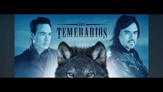 Mix Los Temerarios 2024 [upl. by Gilberta654]