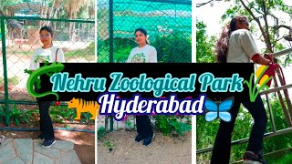 Nehru Zoological Park Hyderabad  Roaming in the zoo of Hyderabad Me and Papa❣️Travelling Vlog [upl. by Adnawad]