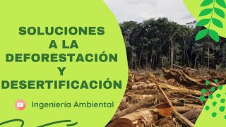 👷🏻‍♂️ Acciones para evitar la deforestación [upl. by Ysdnil]