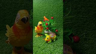 BIRD EATING THE FOOD amp THE RAT SEEING BIRD toys shorts birds rat [upl. by Mckenzie]