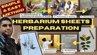 Herbarium Sheets Preparation l Complete Guideline l Biodiversity  Info Biodiversity [upl. by Sdlonyer]