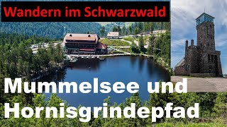 Mummelsee und Hornisgrindepfad Wandern im Schwarzwald [upl. by Rosen]