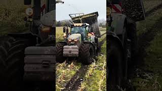 Diesen Sonntag 1115uhr im Youtube Vlog 🌽 maisernte schlamm [upl. by Previdi]