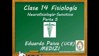 Clase 14 Fisiología  Neurofisiología Sensitivo 5 IGdoctorpaiva [upl. by Kopans]