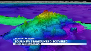 Four new seamounts have been discovered [upl. by Ysak]