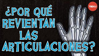 ¿Por qué te crujen los nudillos  Eleanor Nelsen [upl. by Aurita]