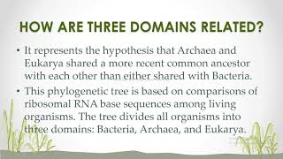 Three Domain Classification System [upl. by Latsyrc]