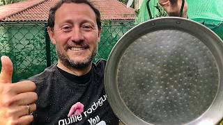 COMO LIMPIAR UNA PAELLA COMO NUEVA  GUILLE RODRIGUEZ [upl. by Acinom]