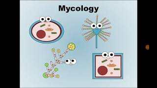 1 Mycology علم الفطريات [upl. by Arihsan710]