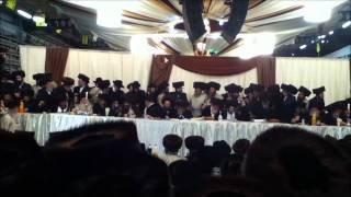 Toldos Ahron amp Satmar Dayan Wedding quotKabolas Panimquot [upl. by Lerim85]