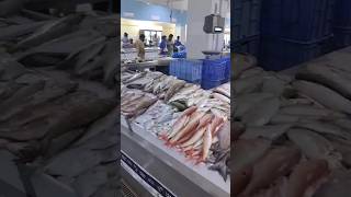 Dubai fish market waterfrontfishmarket [upl. by Enelyad]