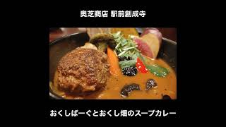 北海道／札幌 奥芝商店 駅前創成寺のおくしばーぐとおくし畑のスープカレー [upl. by Aihseyt]