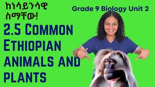 Grade 9 Biology Unit 2 25 Common Ethiopian Animals and Plants [upl. by Airamahs]