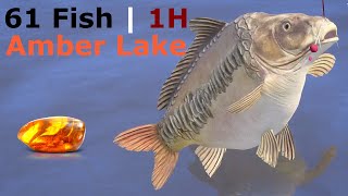 Amber Lake Red baits and standard groundbait  Russian Fishing 4 rf4 spot [upl. by Aretha]