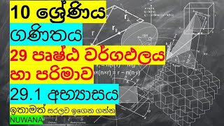 grade 10 maths 291 අභ්‍යාසය 29 පුෂ්ඨ වර්ගඑලය හා පරිමාව nuwana [upl. by Oiled132]