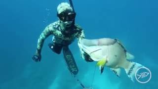 Spearfishing Freediving Bahamas Ascension with Daniel Hulme [upl. by Stevana182]