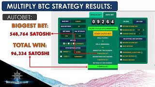 Freebitcoin Auto Bet Hi Lo 100 Winning Rate Strategy [upl. by Omixam539]