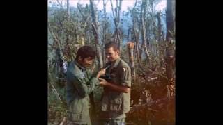 19701971 RVN B2501st Inf 101st ABN Div [upl. by Orferd]