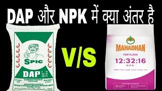 DAP vs NPK fertilizer full detail dap or npk में क्या अंतर हैDiammonium phosphate [upl. by Elia]