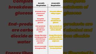 Aerobic vs Anaerobic Respiration in Plants  Key Differences Explained [upl. by Nesnej485]