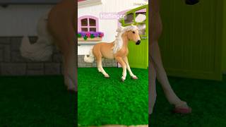 Schleich horse short video my favorite horse breeds [upl. by Gausman]