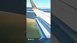 Extreme Tuifly Cross wind Turbulence Landing At KSFO [upl. by Alohs]