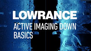 Lowrance  Active Imaging™ DownScan Basics [upl. by Drolet]