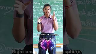 Simple Exercise To Fire Up Your Brain  DrVaishali Ravishankar [upl. by Joceline]