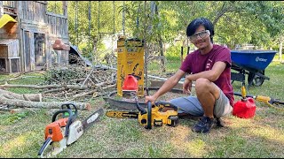 Ideal Chainsaw For Yard Work  12quot DeWalt 20V Max Compact Size  Demonstration 1st Impression Review [upl. by Augie]