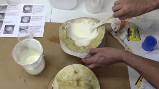 Michael Davy Foaming Gelatin How To [upl. by Ahsea]