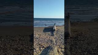 View from Charmouth Beach Dorset [upl. by Ahsenal800]