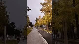 BEAITY OF SICHUAN UNIVERSITY China lifeviral Me [upl. by Tik]