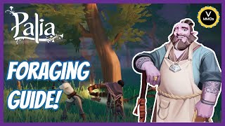 Palia Foraging Guide [upl. by Giddings437]