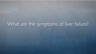 Liver Failure  FAQ with Dr Amy Kim [upl. by Eenoj]