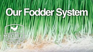 Our Fodder System [upl. by Sorci]