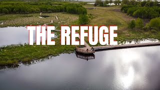 Hiking the Necedah Wildlife Refuge Necedah Wisconsin [upl. by Keldah]