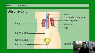 VMBO HAVO 2  Bloedsomloop  Basisstof 6 Uitscheiding [upl. by Haidabej]