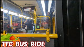 TTC 509 Streetcar Replacement Night Ride from Union Station to Spadina [upl. by Shreeves699]