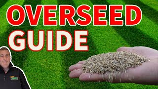 Beginners guide to overseeding a lawn and everything you need to get it RIGHT [upl. by Fredric]