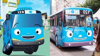 Tayo The Little Bus Characters In Real Life  All Characters 2017 [upl. by Ziladnerb424]