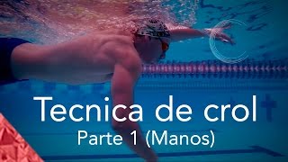 Como nadar crol correctamente Parte 1 Técnica Manos Estilo libre natación [upl. by Nnayecats]