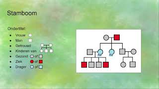 Stamboom erfelijkheid [upl. by Nerraw]
