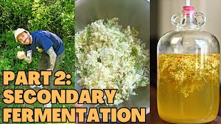 How to make Elderflower Champagne part 2  Secondary Fermentation [upl. by Tanny846]